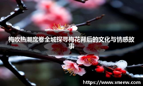 qy球友会体育