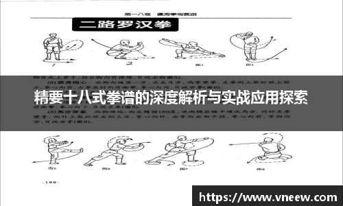 精要十八式拳谱的深度解析与实战应用探索
